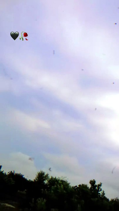 😎😎😎😎😎😎