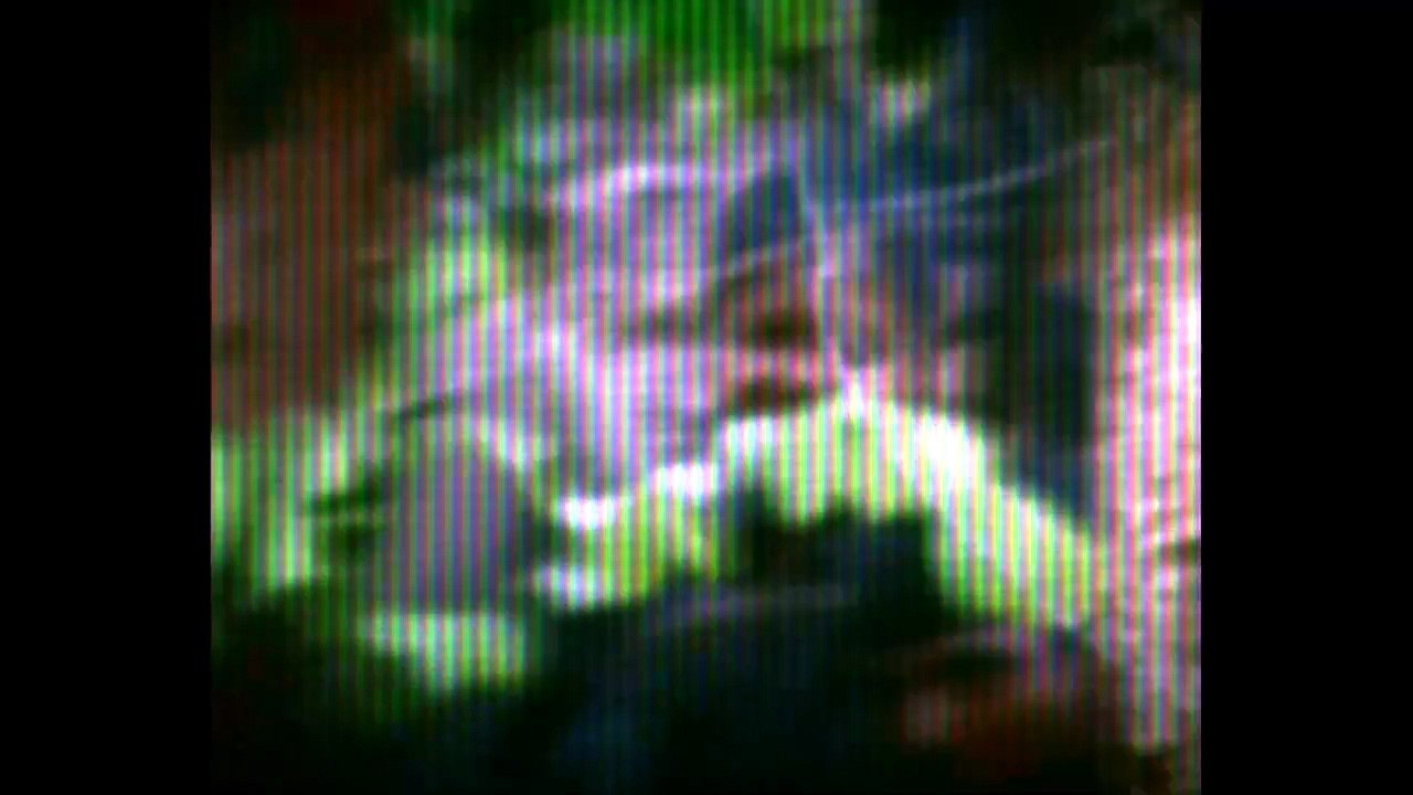 Red Ant Dream