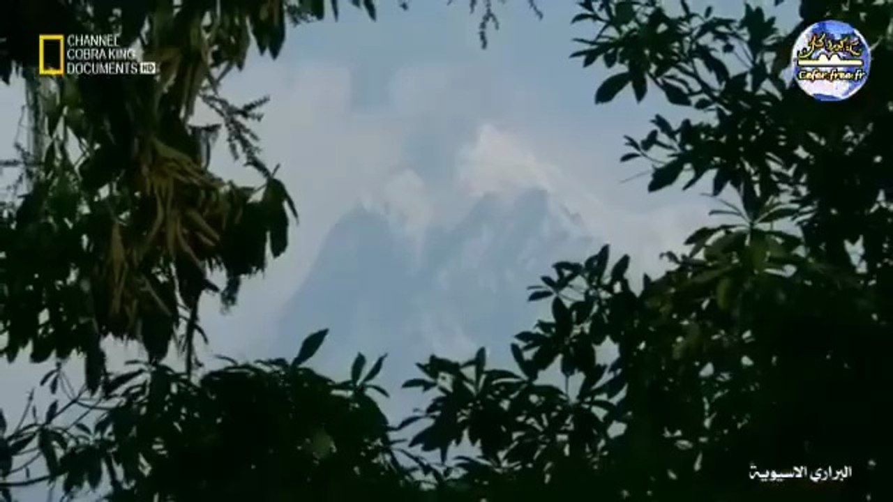 البراري الاسيوية