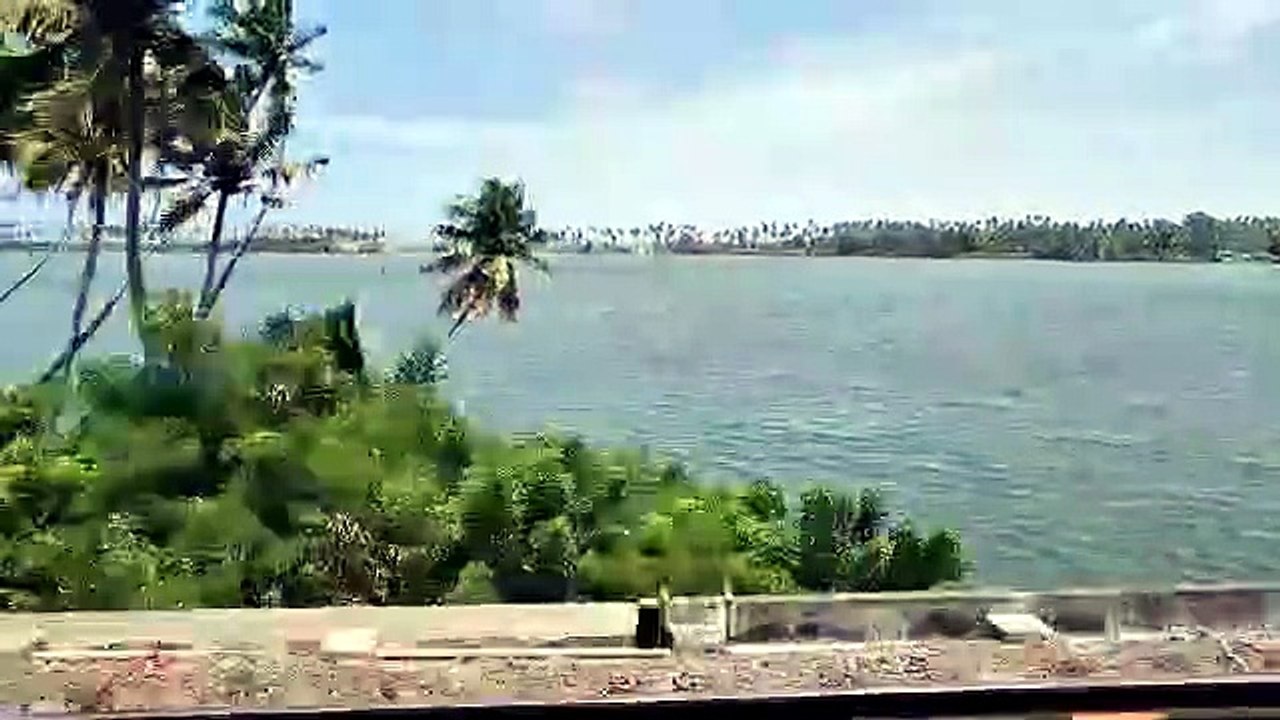nature
