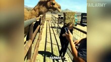 Epic Desert Fails ¦ Hilarious Fails Of