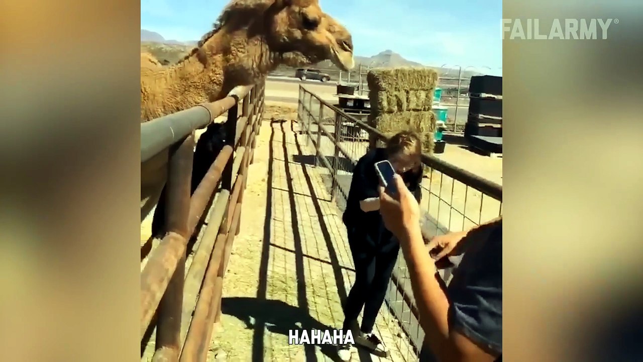 Epic Desert Fails ¦ Hilarious Fails Of