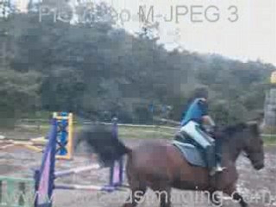 Cours de CSO avec Jos