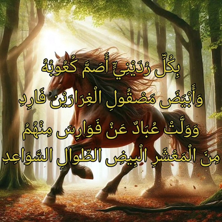 حلفت يمينا غير ذي مثنوية  ،   بشر بن سلوة