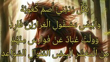 حلفت يمينا غير ذي مثنوية  ،   بشر بن سلوة