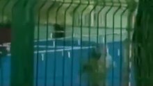 ⚠️ Un at@que armado se registró en la Escuela Secundaria Ahmet Koyuncu, ubicada en Siverek, Turquía, luego de que un joven de 17 años presuntamente abri3ra fueg0 con una escop3ta, dejando al menos 16 personas her1das.