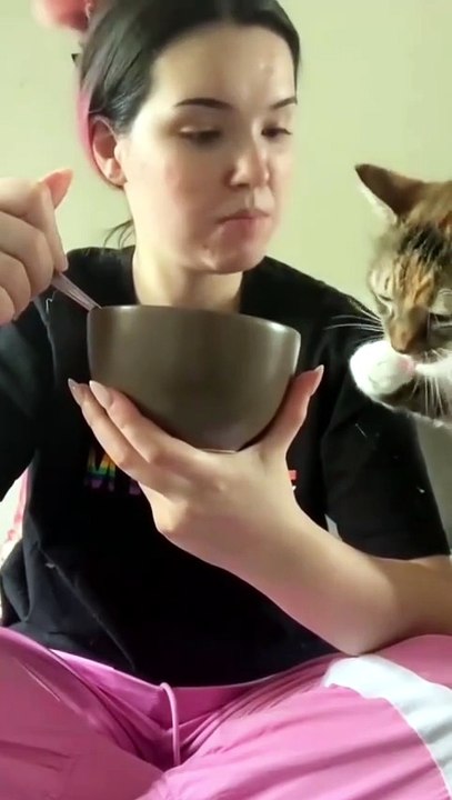 Cats vs food