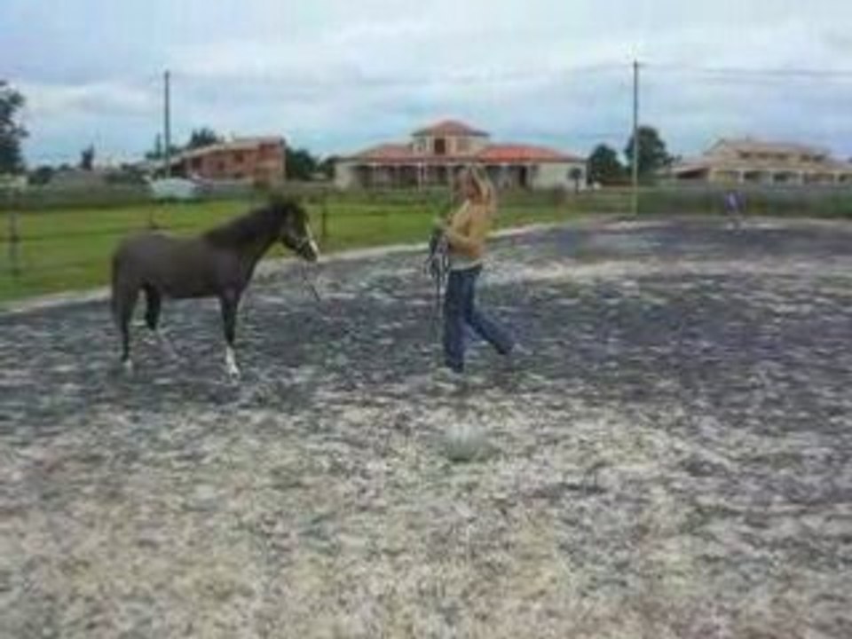 DSCN9180