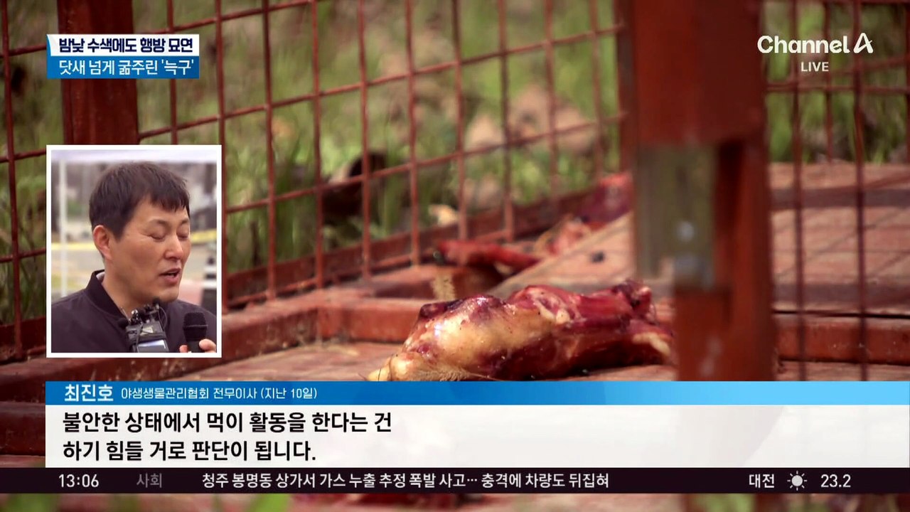 밤낮 수색에도 행방 묘연…닷새 넘게 굶주린 ‘늑구’