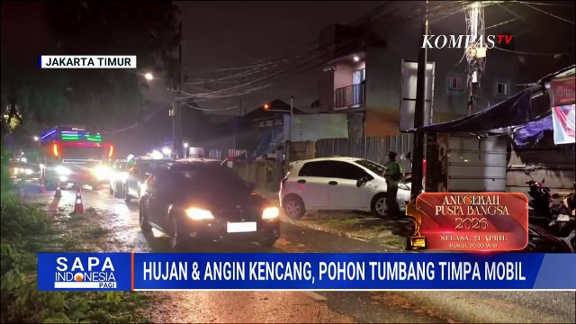 Hujan Deras-Angin Kencang, Pohon Tumbang Timpa Mobil di Jakarta Timur | SAPA PAGI