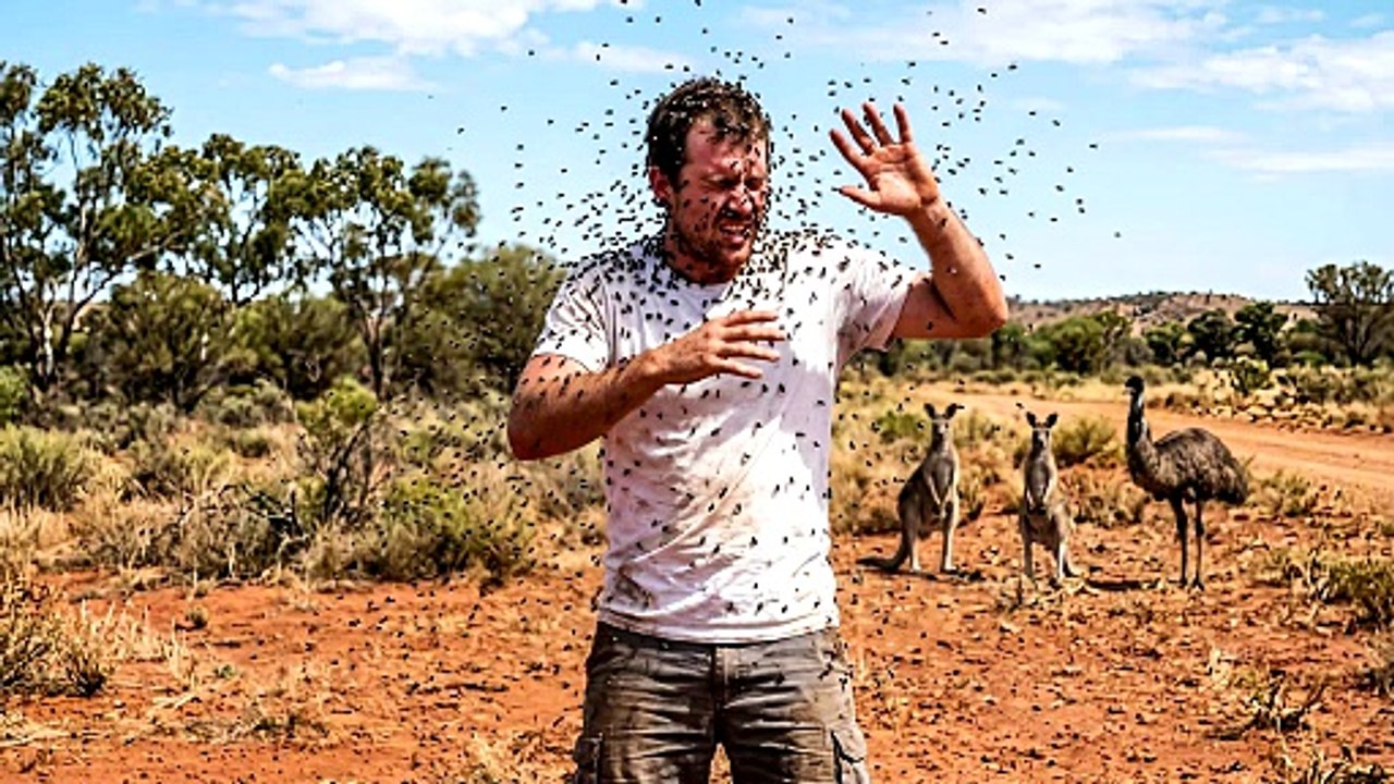 The Great Australian Wave