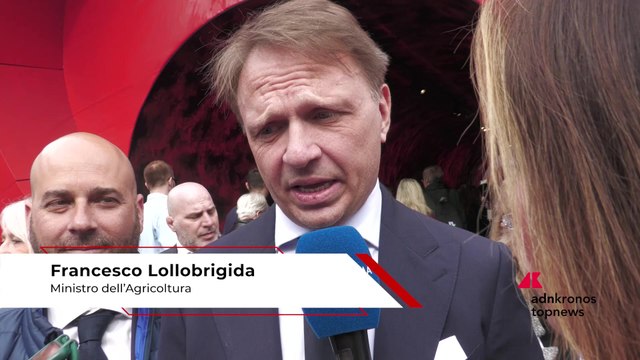 Vinitaly 2026: min. Lollobrigida, ?puntiamo a leadership mondiale con filiere pi? forti?