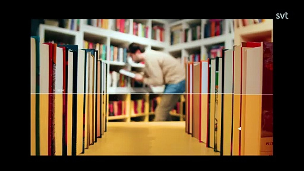 Babel S43E03 SWEDiSH INGRID