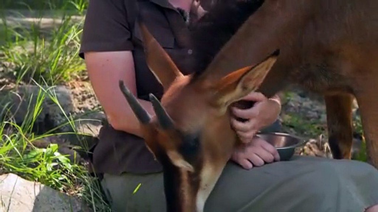 Work On The Wild Side S02E07