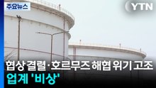 협상 결렬·호르무즈 해협 위기 고조...업계 '비상' / YTN
