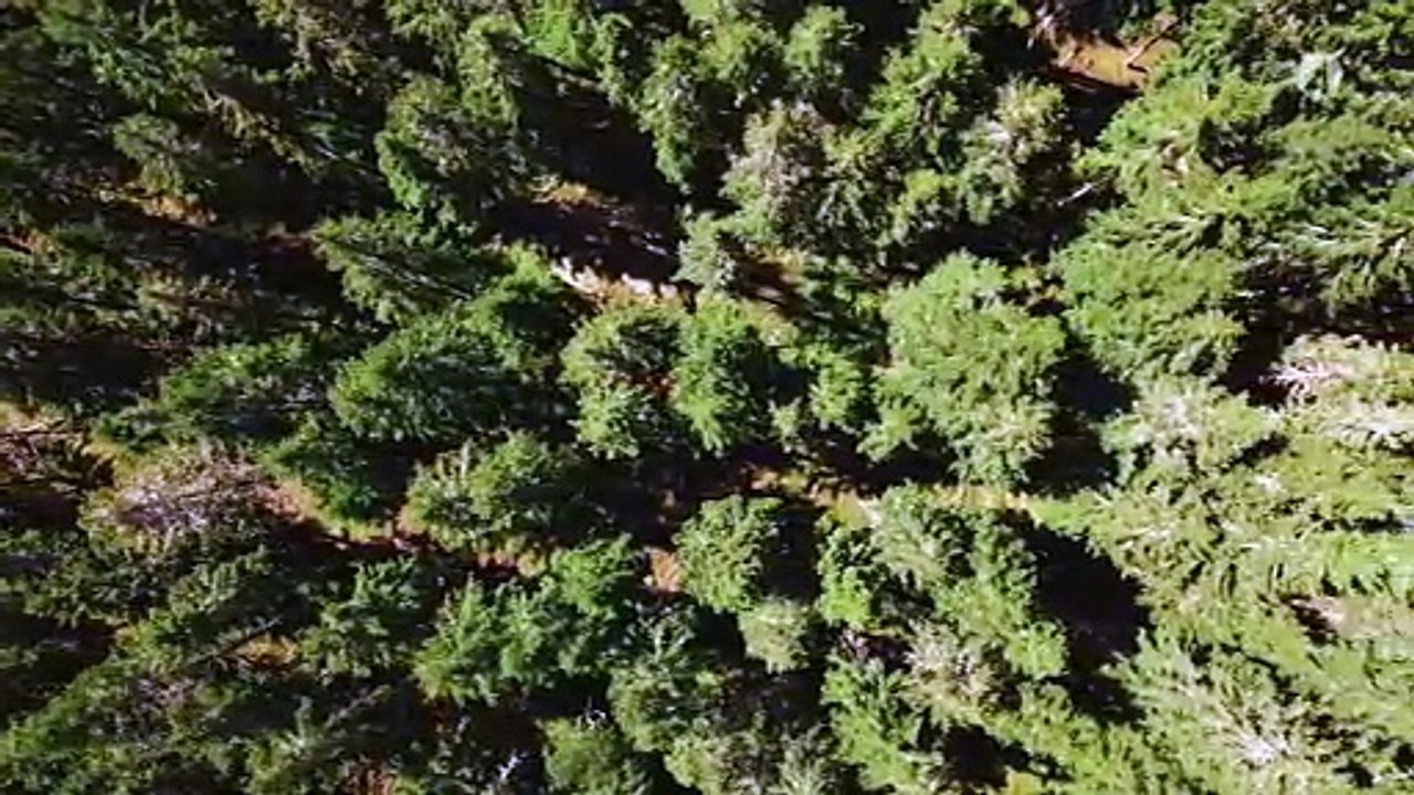 torpet s19e05 swedish ollonborre