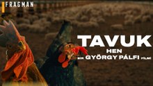 Tavuk Altyazılı Fragman