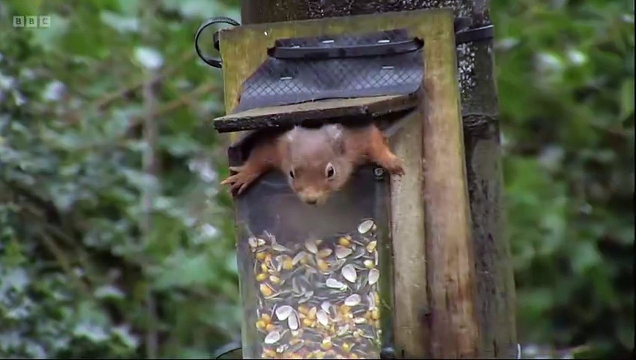 Winterwatch S14E04