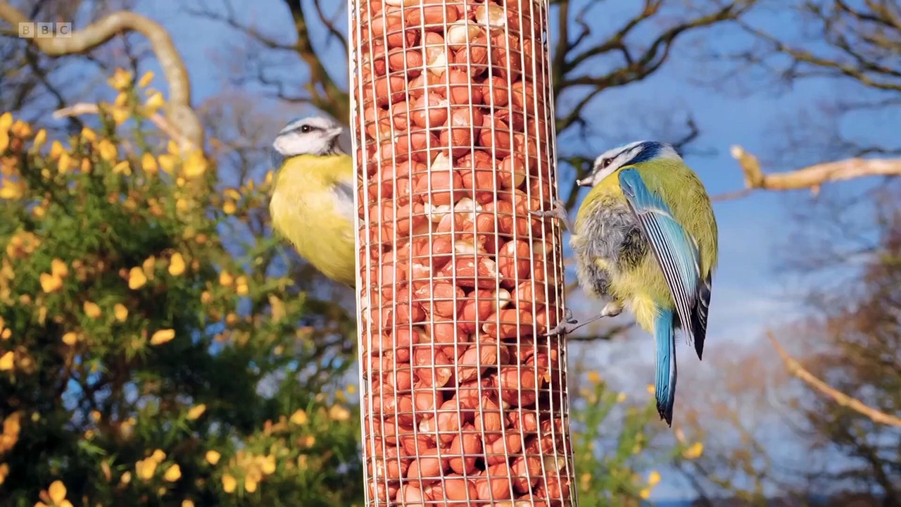 Winterwatch S14E03
