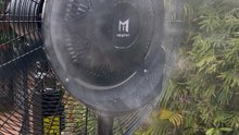 BLDC industrial mist fan with 60L water tank, spray cover more than 10 meters#Mingletec #industrial #mistfan #fans #manufacturer #supplier #aircooler #BLDC #dcmoto #warehouse #factory #electric #hotsellproduct #fyp #fypシ