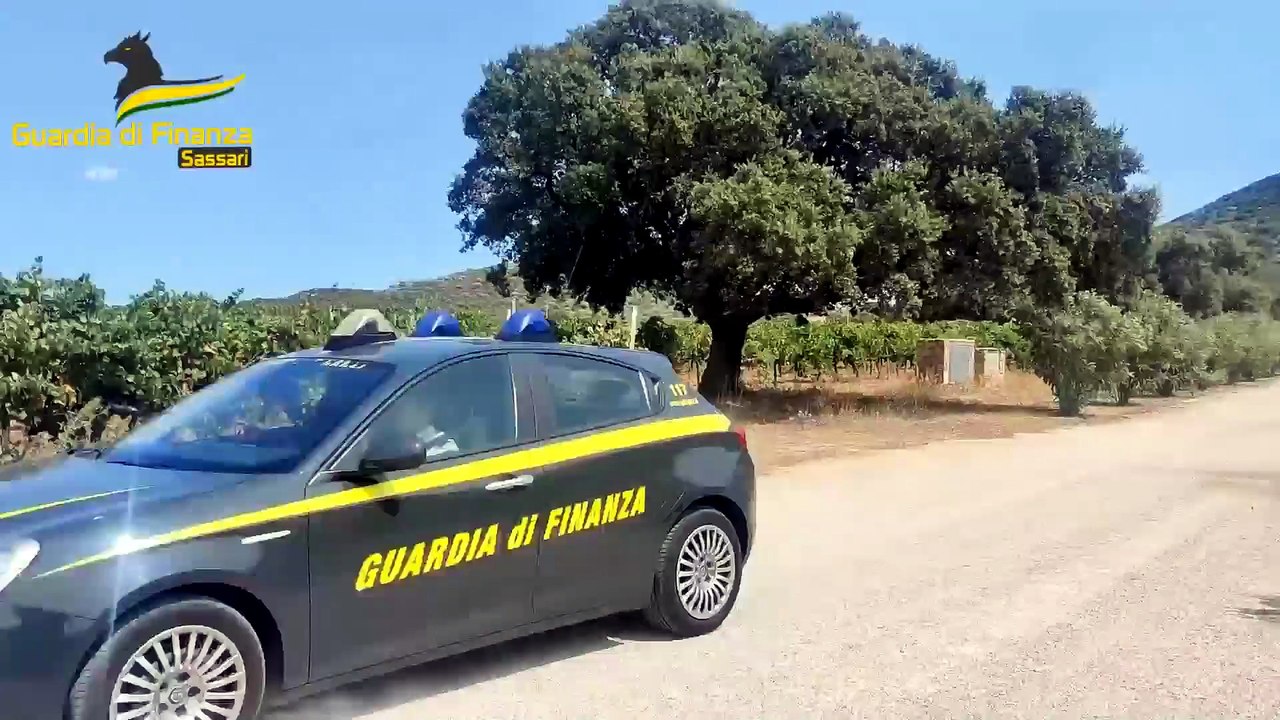Uve non sarde, sequestrati in Gallura 5 mila ettolitri di vini marchiati Igt e Docg