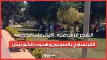 الشجر فرش ضله.. إقبال على الحديقة الفرنساوي بالسويس وهدوء بالكورنيش