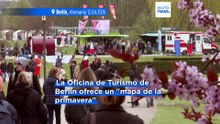 El Festival de los Cerezos en Flor de Berlín atrae a visitantes de todo el mundo esta primavera