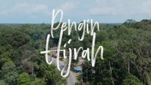 Pengin Hijrah (2025) | Indonesian Movies