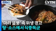 '마라 열풍' 속 위생 경고...마라탕·땅콩 소스에서 식중독균 / YTN