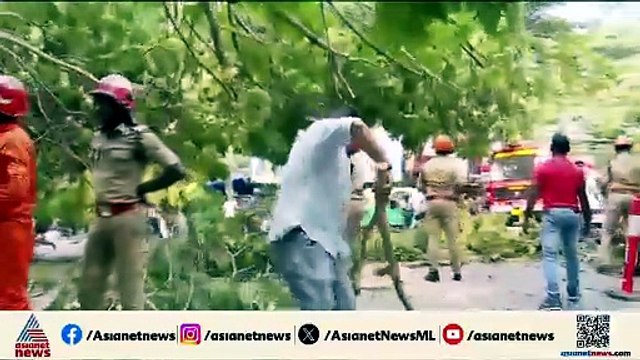 സെക്രട്ടേറിയറ്റ് കൻ്റോൺമെൻ്റ് ഗേറ്റിന് മുന്നിൽ കൂറ്റൻ മരം ഒടിഞ്ഞുവീണു
