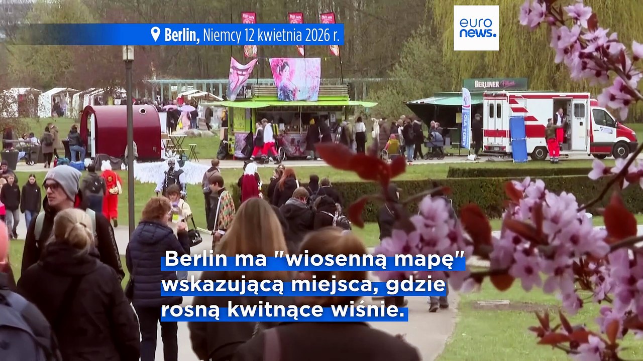 Festiwal Kwitnącej Wiśni w Berlinie przyciąga tej wiosny wielu turystów