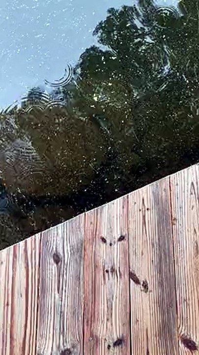 2499611-sd_240_426_30fps.mp4