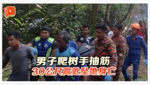 男子爬树手抽筋 30公尺高处坠地身亡