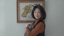 向田邦子と猫
