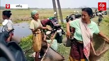 পৰম্পৰা ৰক্ষা কৰি নগাঁৱৰ হাতীচোং দীঘলী বিলত সমূহীয়া মৎস্য চিকাৰ