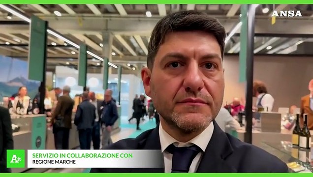 Rossi: Il vino leva strategica per l'economia delle Marche, prima regione per bio