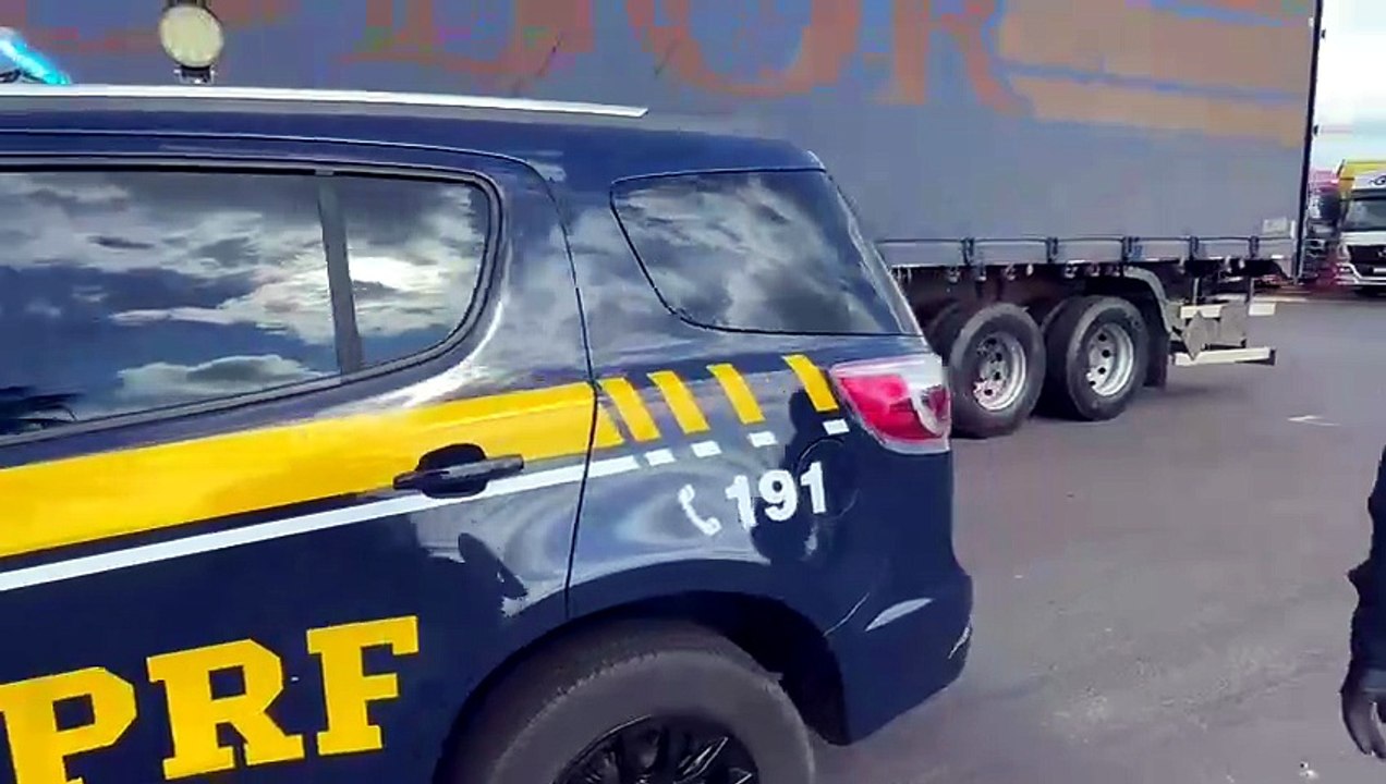 PRF apreende oliveiras centenárias contrabandeadas em carreta na região de Maringá