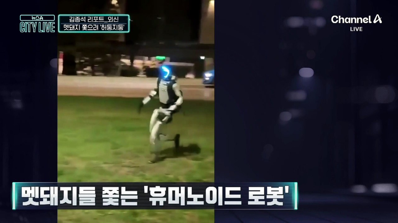 [김종석의 리포트]멧돼지들 쫓는 ‘휴머노이드 로봇’