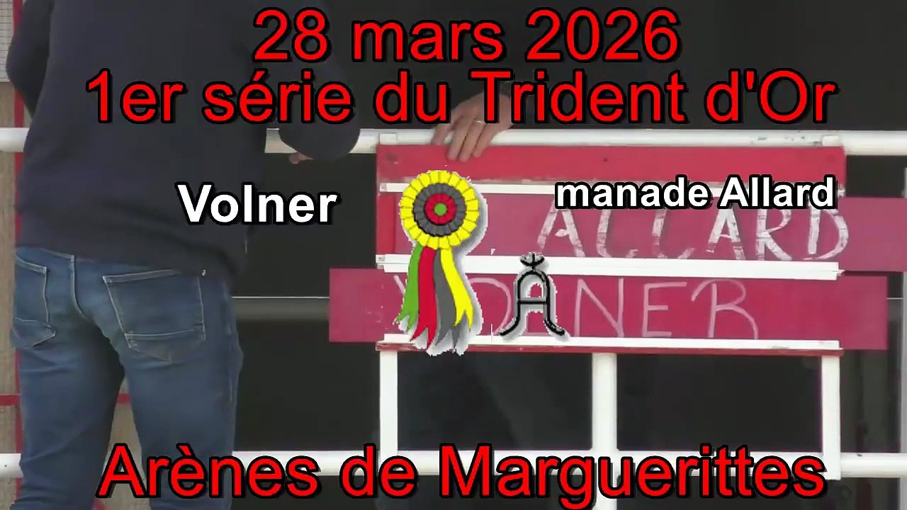 2026 03 28 Volner