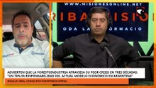 Consultor forestal advierte que el sector atraviesa su peor crisis en tres décadas