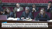 Las declaraciones de Patricia Uriz, expareja de Koldo, en la trama mascarillas: "Ferraz era muy rígido"