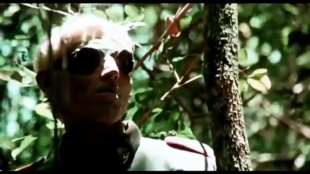 Shock Waves 1974 Remastered