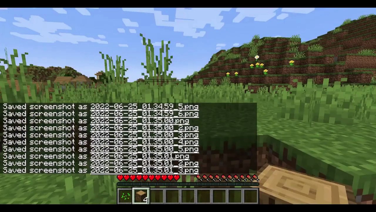 This Minecraft Video Is Recorded Using Screenshot #minecraft #minecraftmemes #minecraftfunny