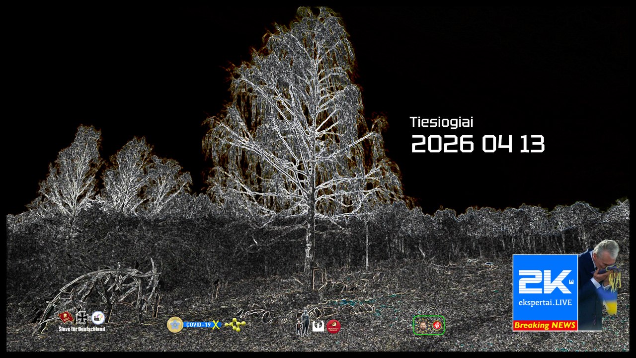 2K+ 2026 04 13