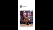 O Pobre não tem um dia de paz. Comentários engraçados #2 🤣🤣🤣🤣🤣🤣