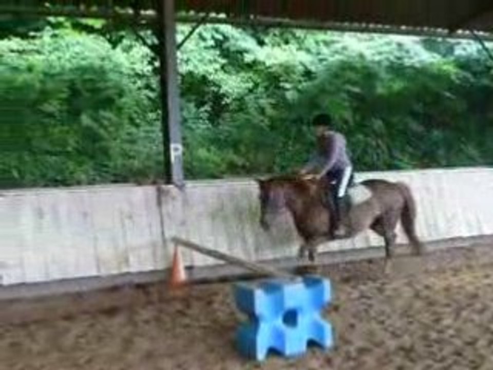 Saut d'obstacle