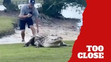 Golfer gets dangerously close to giant crocodile in viral moment