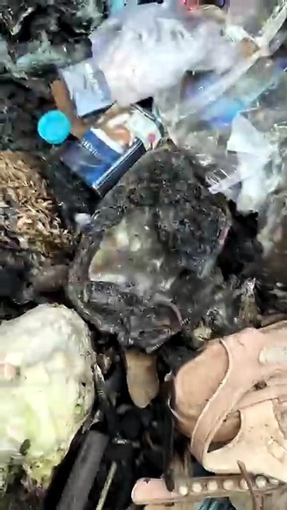 Who burned this money bag  #money #foundmoney #foundphone #restoration #reels