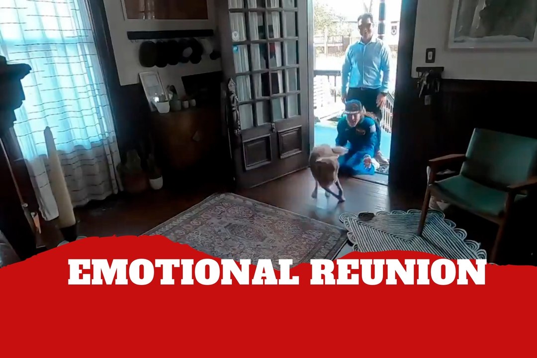 Christina Koch reunites with her dog after Artemis II mission