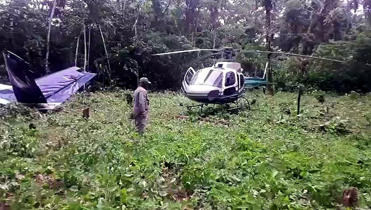 Avioneta